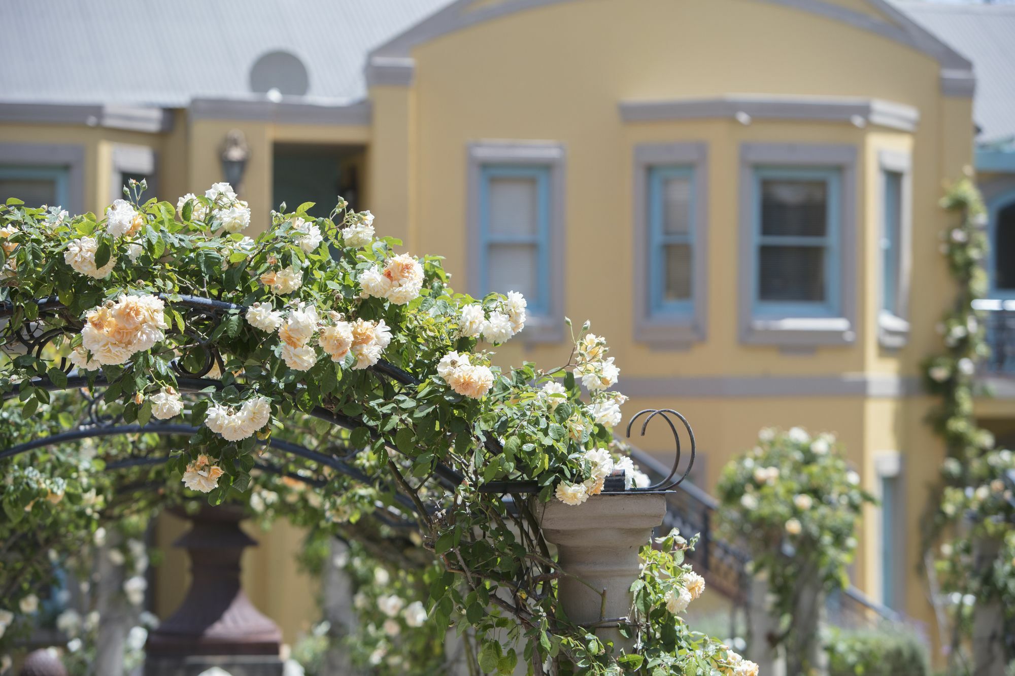 Franschhoek Country House & Villas Exterior foto
