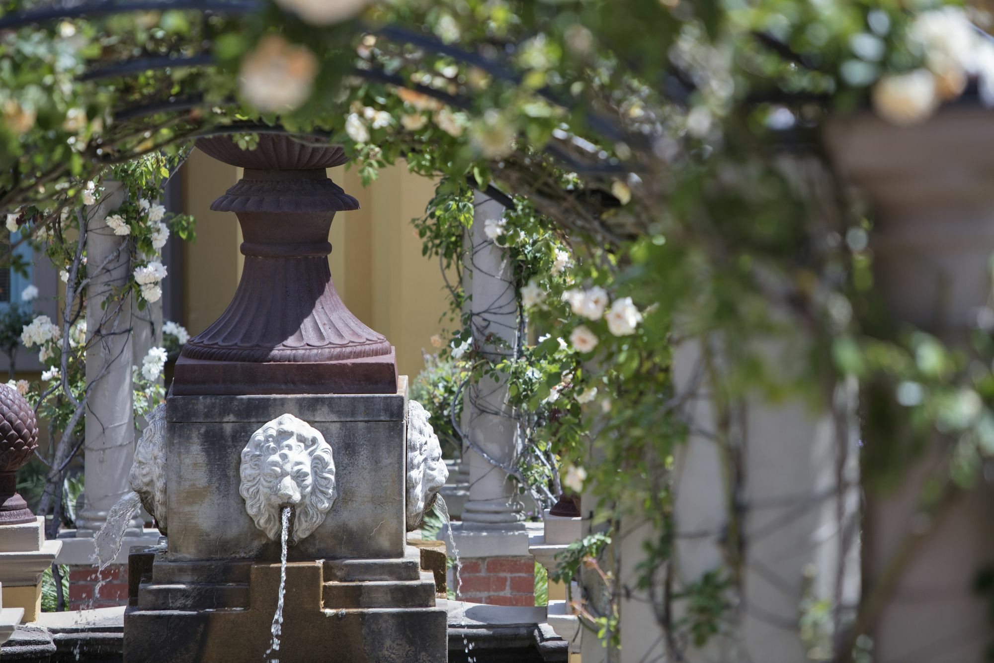 Franschhoek Country House & Villas Exterior foto