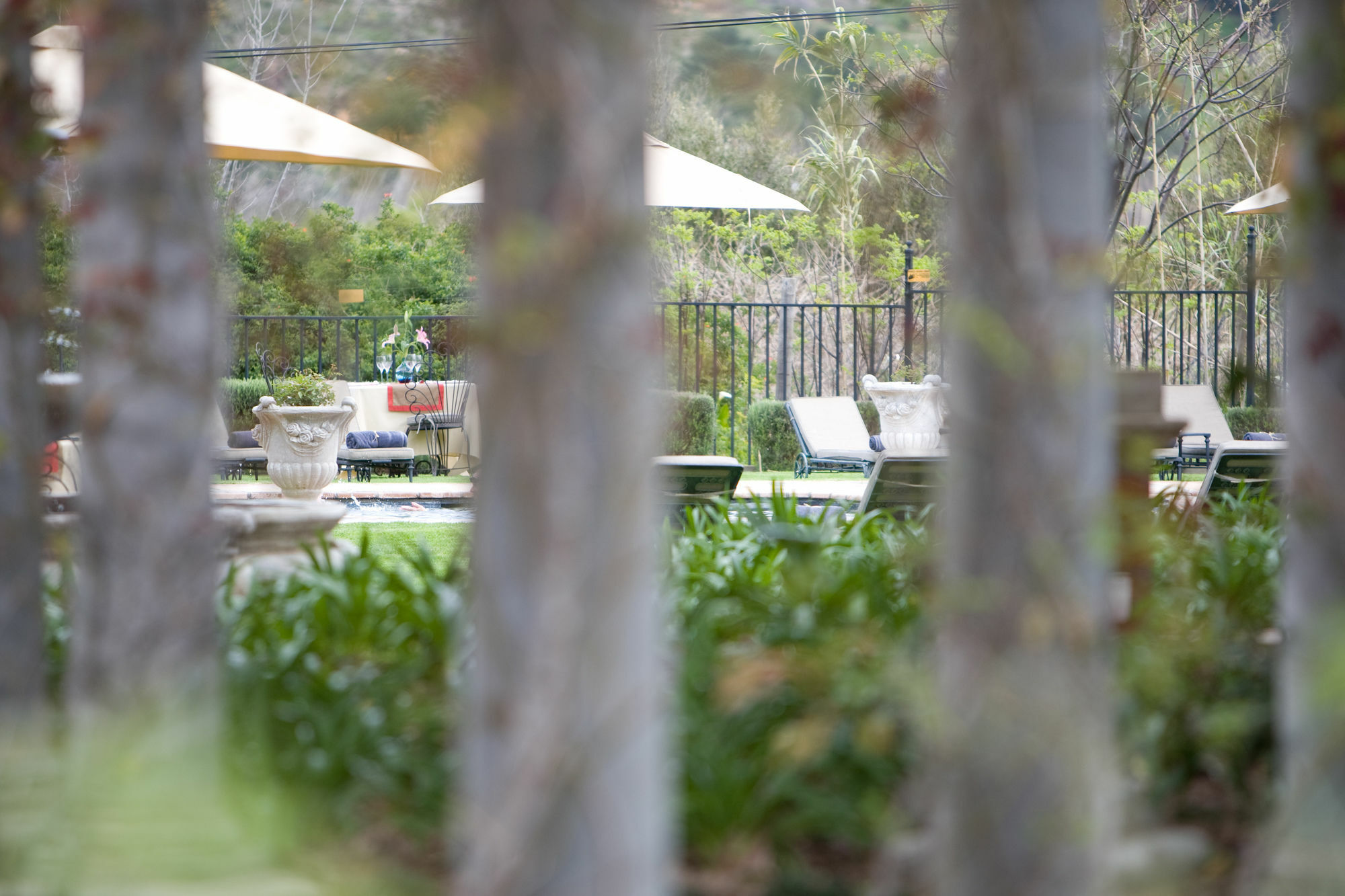 Franschhoek Country House & Villas Exterior foto